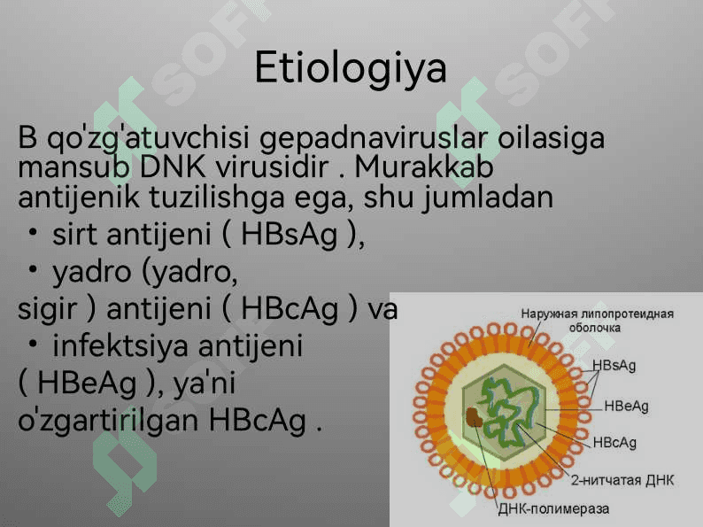 Virusli gepatit b ni davolash 4