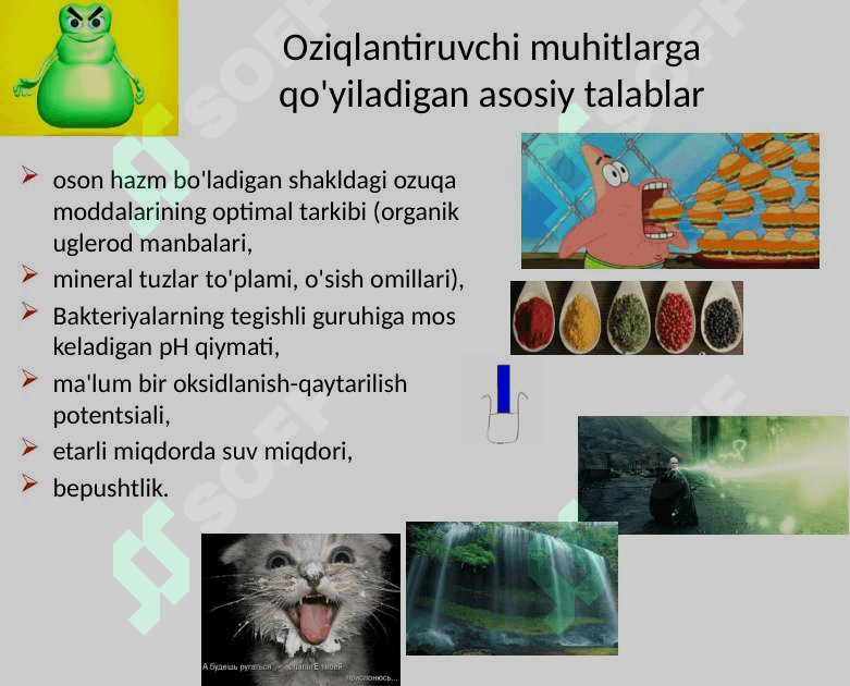 Bakteriya muhiti 2