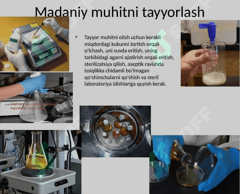 Bakteriya muhiti 4
