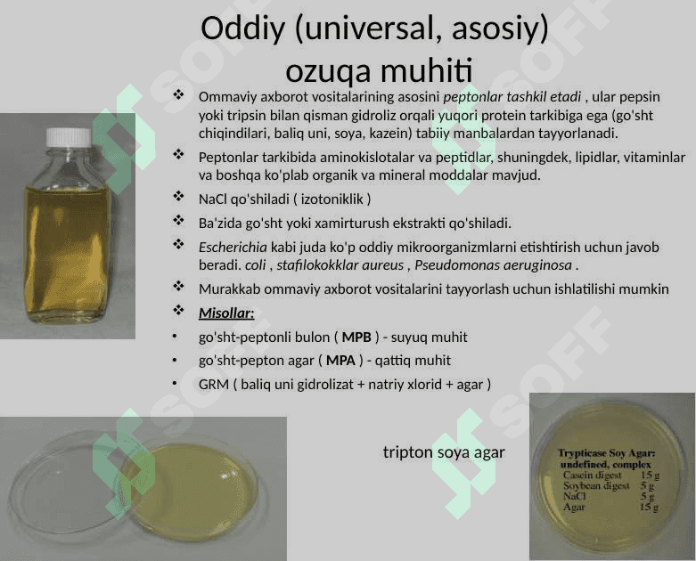 Bakteriya muhiti 5