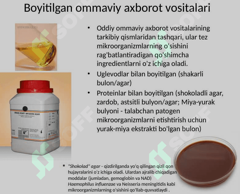 Bakteriya muhiti 6