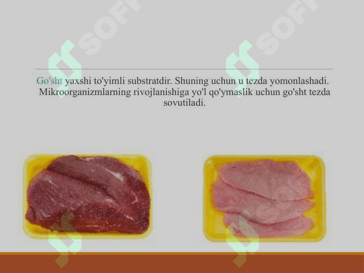 Go’sht Mikrobiologiyasi 2