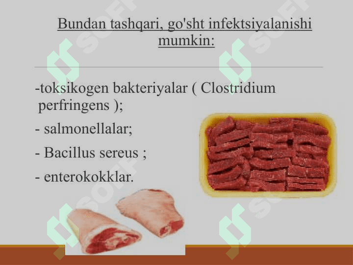 Go’sht Mikrobiologiyasi 4