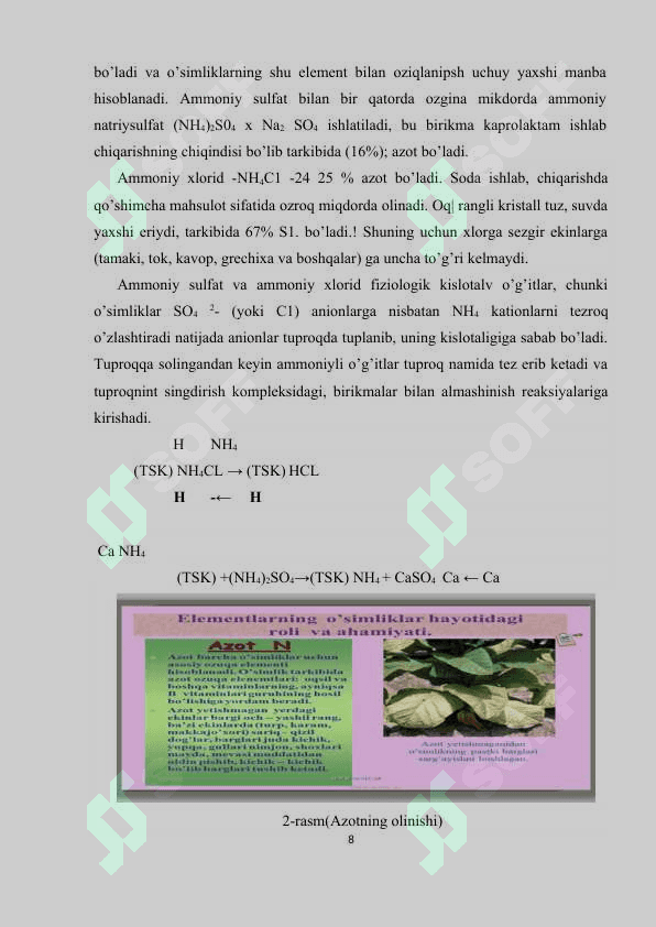 Azotni o'simlik hayotida tutgan o'rni 8