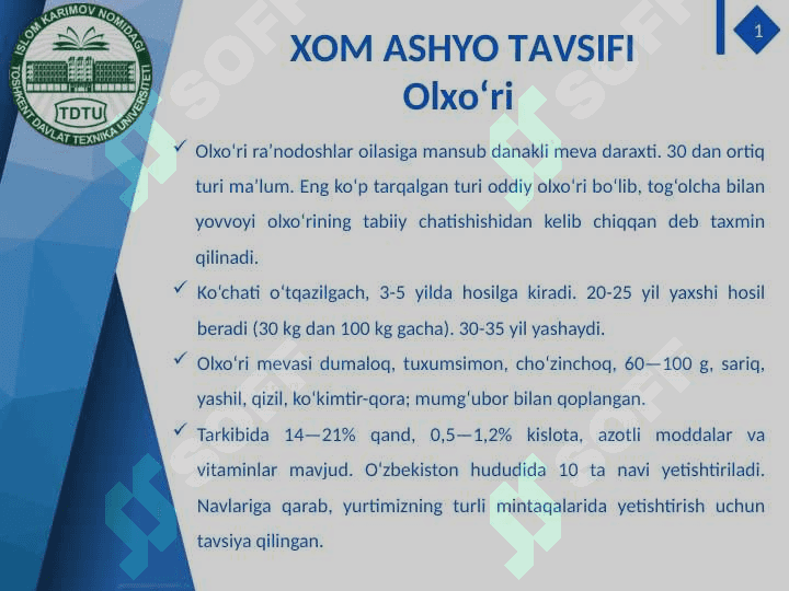 Smenada 6 tonna olxo‘ri pyuresi va 2 tonna tindirilgan olma sharbati ishlab chiqarish texnologik liniyalarini loyihalashtirish 2