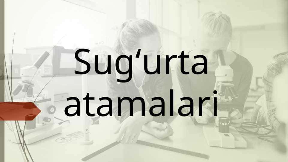 Sugʻurta atamalari