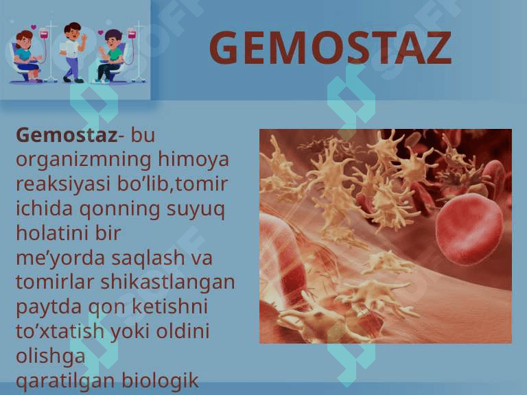 Gemostaz PPT 2