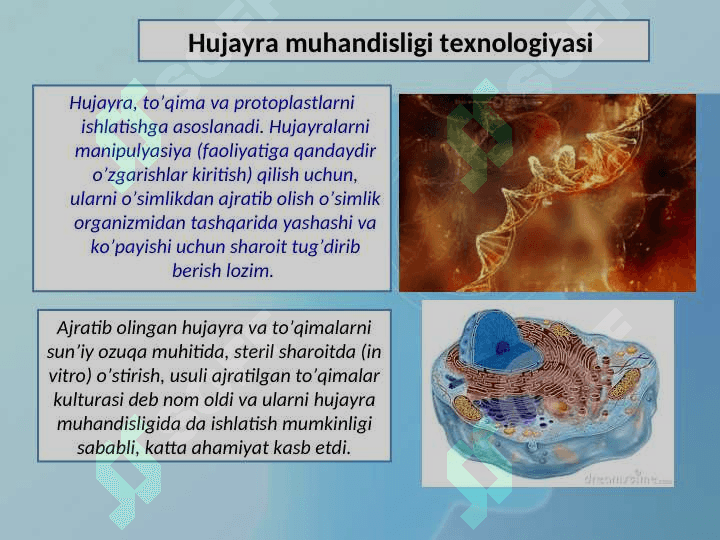 Mikroorganizmlar orqali boradigan biotexnologik jarayonlar 3