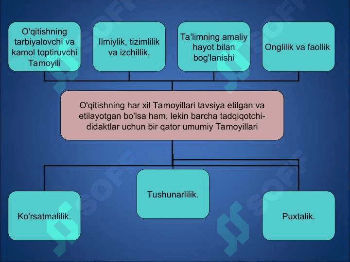 Ta'lim tamoyillari, ta'lim jarayonini tashkil etishning metodik asoslari 6
