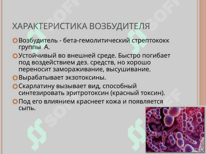 СКАРЛАТИНА 3