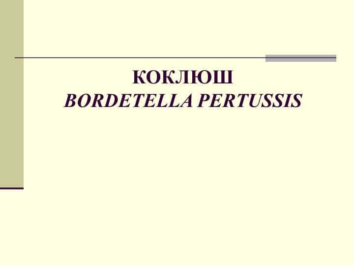 коклюшBordetella pertussis