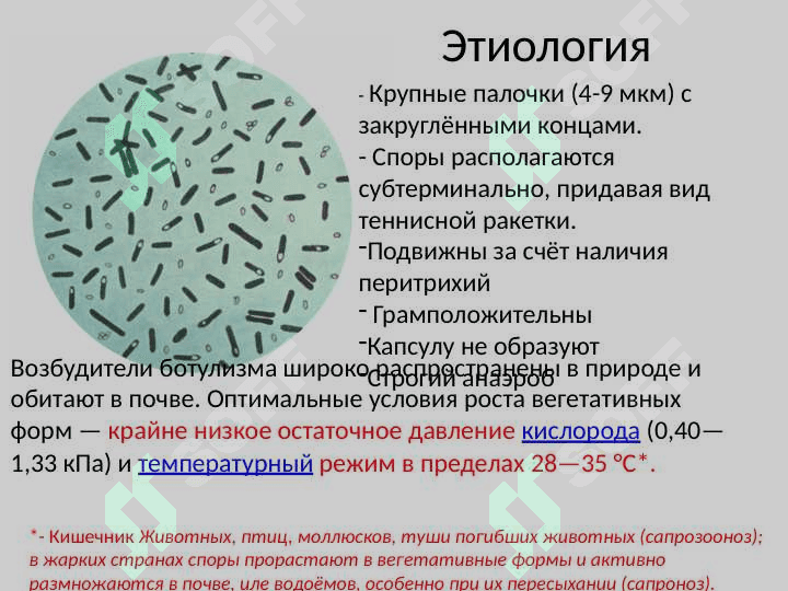 Ботулизм (ихтиизм, аллантиизм) 4
