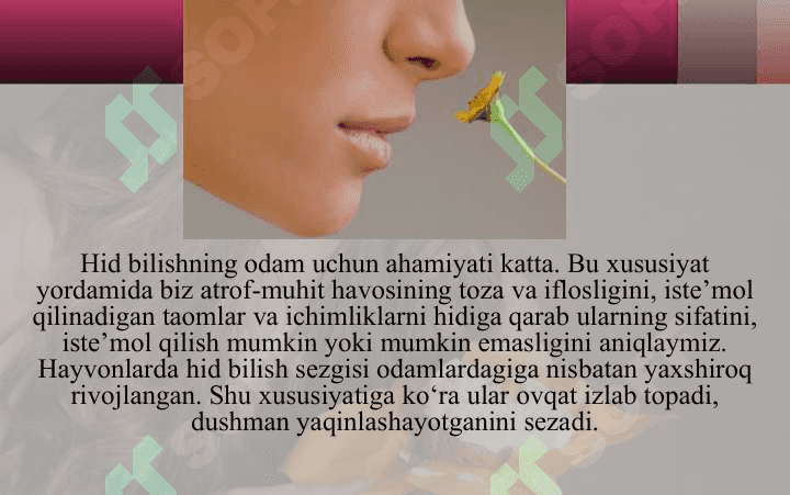 Hid bilish va og’riq idroki 4