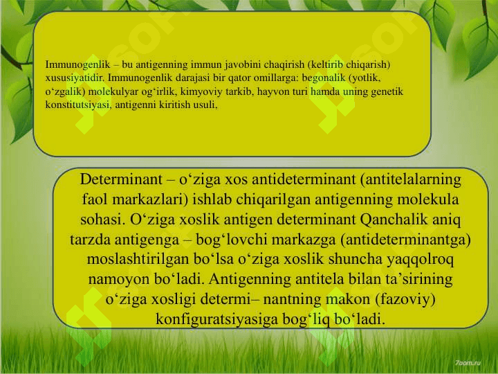 Apoptoz 4