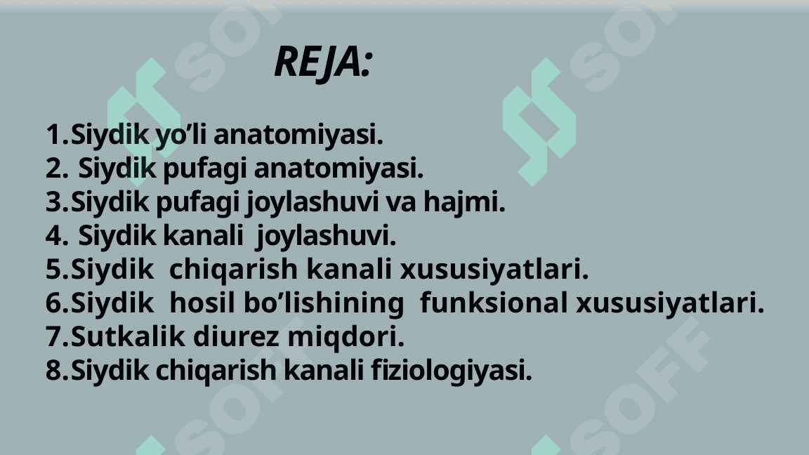 Bolalarda siydik yo'li, siydik pufagi va siydik chiqarish kanali anatomo-fiziologik xususiyatlari 2