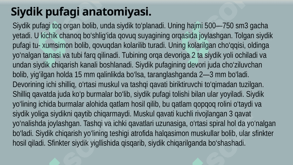 Bolalarda siydik yo'li, siydik pufagi va siydik chiqarish kanali anatomo-fiziologik xususiyatlari 4