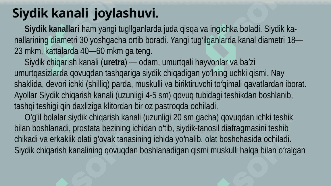Bolalarda siydik yo'li, siydik pufagi va siydik chiqarish kanali anatomo-fiziologik xususiyatlari 7