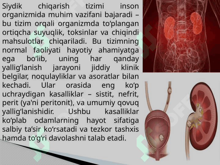 Sistit, Nefrit, Perit, qovuqni yalligʻlanishi 2