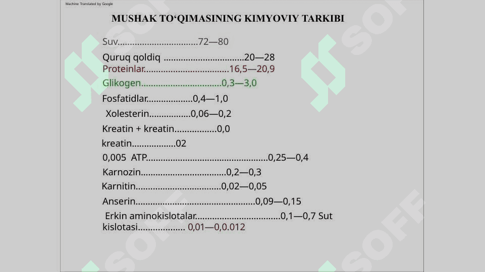 Mushak biokimyosi 4