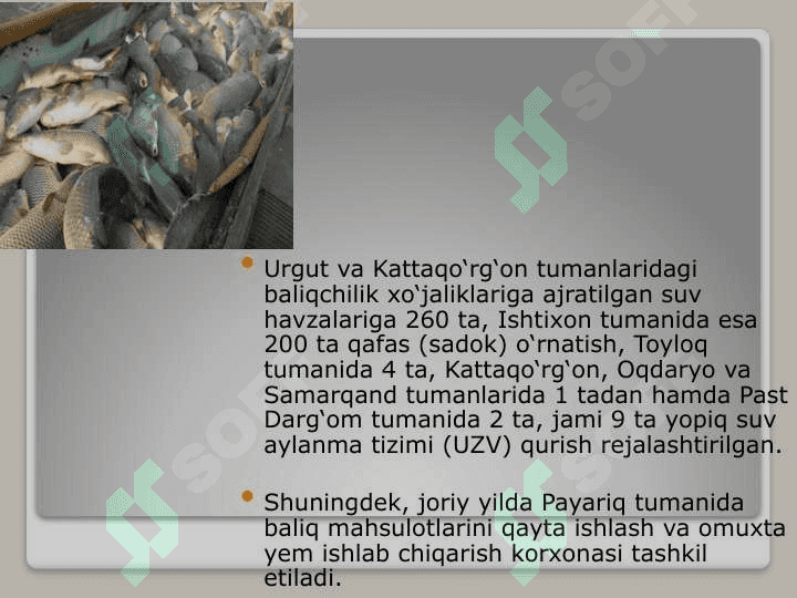 Baliqchilik,  uning iqtisodiy  ahamiyati 6