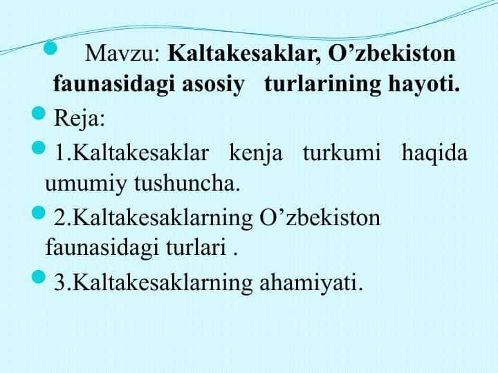 Kaltakesaklar, O’zbekiston faunasidagi asosiy   turlarining hayoti