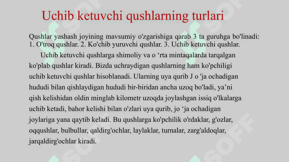 Uchib ketuvchi qushlar asosiy turlarining hayoti. 3