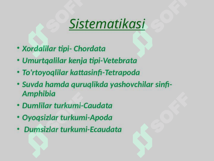 Suvda hamda quruqlikda yashovchilar sinfi. 3