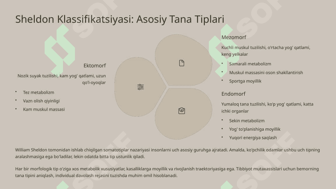 Inson Tanasining Morfologik Turlari va Ularning Sog'liq Bilan Bog'liqligi 4