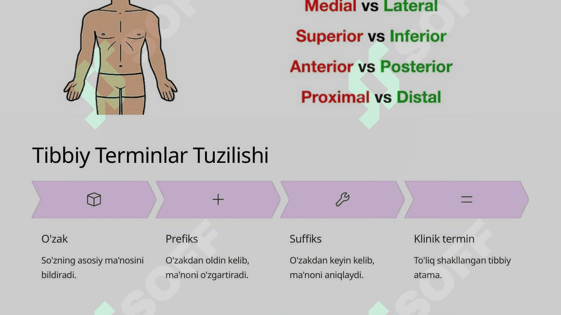 Klinik terminologiyaga kirish suffikatsiya 4