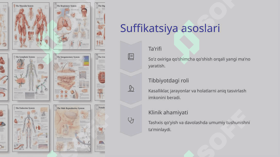 Klinik terminologiyaga kirish suffikatsiyaKlinik terminologiyaga kirish suffikatsiya 4