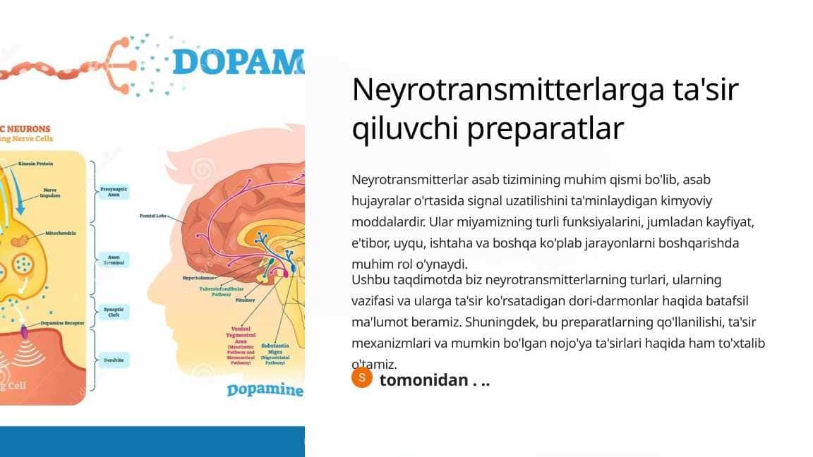 Neyrotransmitterlarga ta'sir qiluvchi preparatlarNeyrotransmitterlarga ta'sir qiluvchi preparatlar