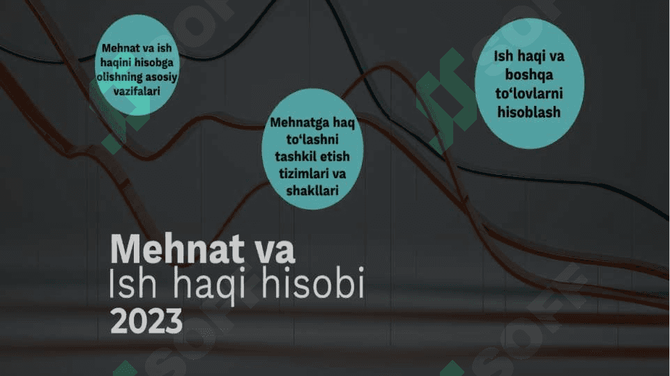 Mehnat va ish haqini hisobga olish 2