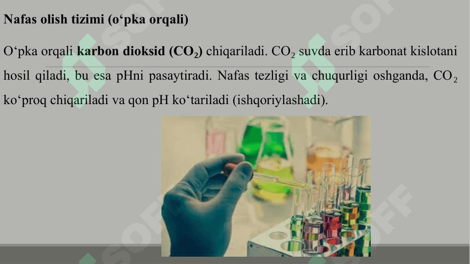 ORGANIZMDA KISLOTA-ISHQOR BALANSINI BOSHQARUVCHI MEXANIZMLAR 3