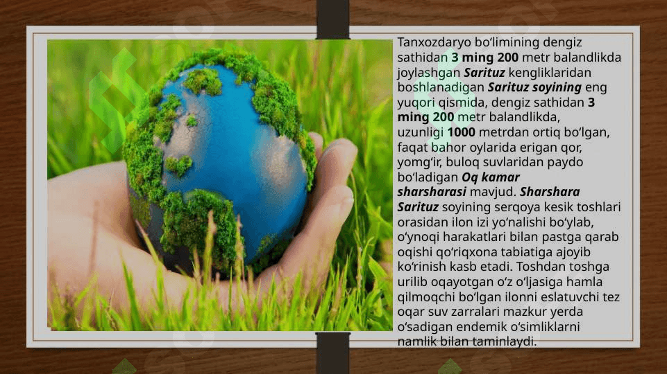 Ekologiyani asrash 6