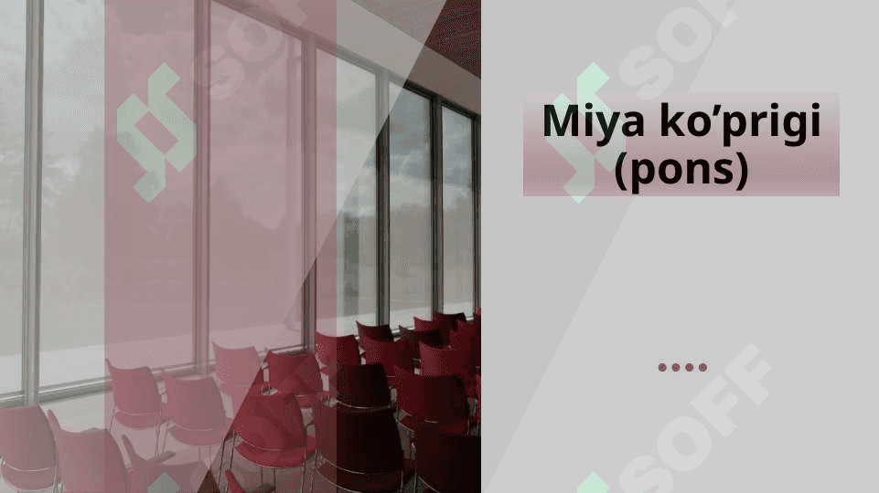 Miya ko’prigi va miyacha 2