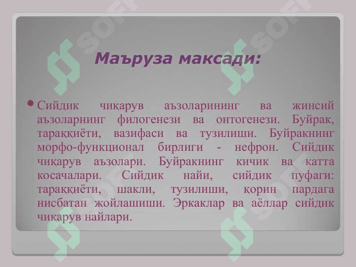 SIYDIK CHIQARUV A’ZOLARINING FUNKSIONAL ANATOMIYASI 2