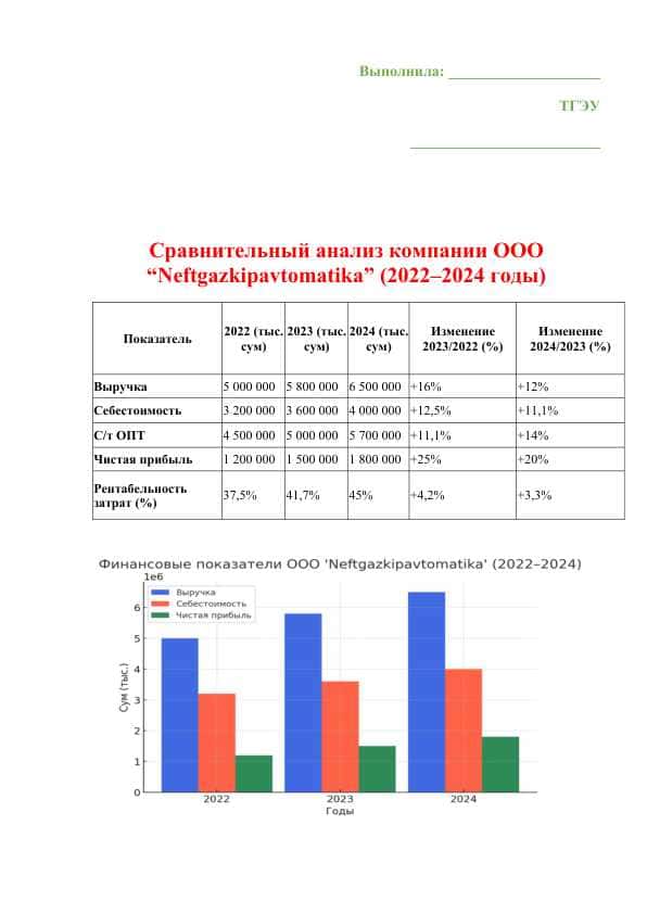 Сравнительный анализ компании ООО “Neftgazkipavtomatika” (2022–2024 годы)