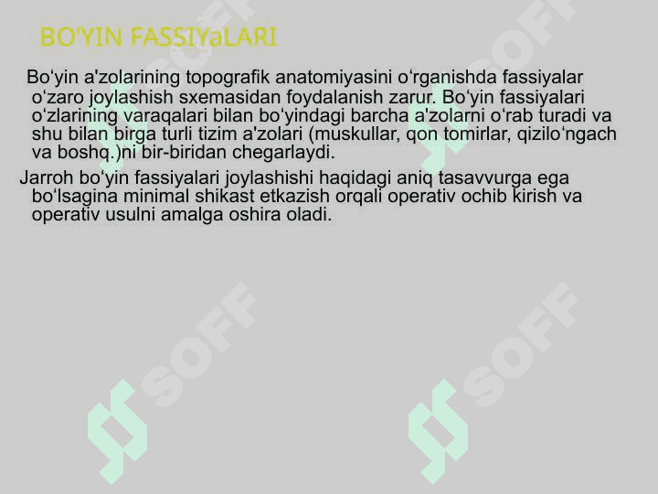 Boʻyin sohasining klinik anatomiyasi. 4