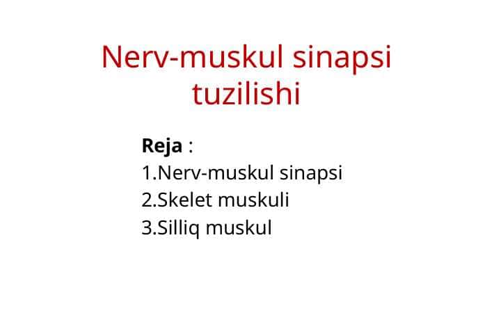 Nerv-muskul sinapsi tuzilishi