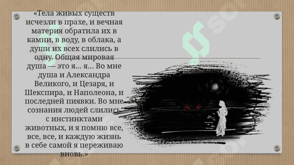 Чайка 4