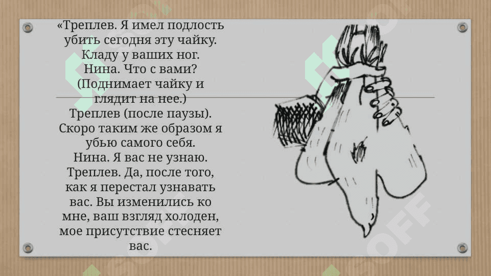 Чайка 5