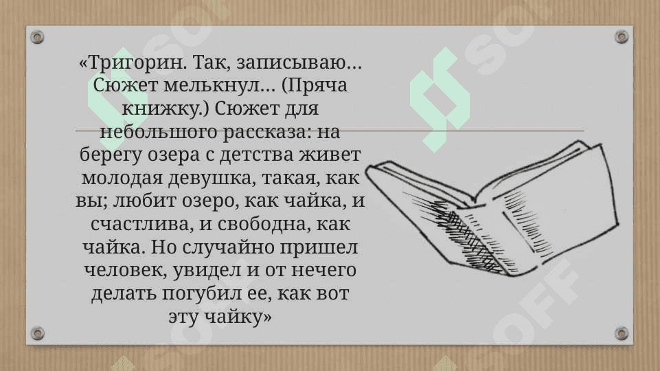 Чайка 6