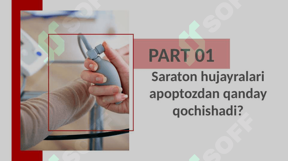 9    O‘sma xujayralarida apoptoz yo‘kolishi fenomeni. Onkologik statistikada informatsion texnologiyalar ahamiyati. Radioaktiv nurlarni biologik muxitlarga ta’siri. 4