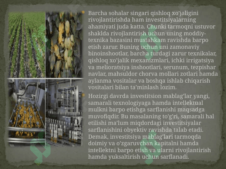 Qishloq xo'jaligida investitsiyalar hisobi va ularni moliyaviy hisobotda aks attirish. 4