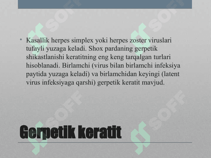 Gerpetik Keratit 2