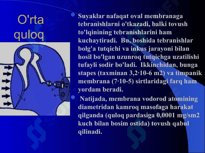 Eshitish analizatori 8