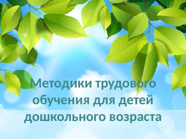 Методики трудового обучения для детей дошкольного возраста