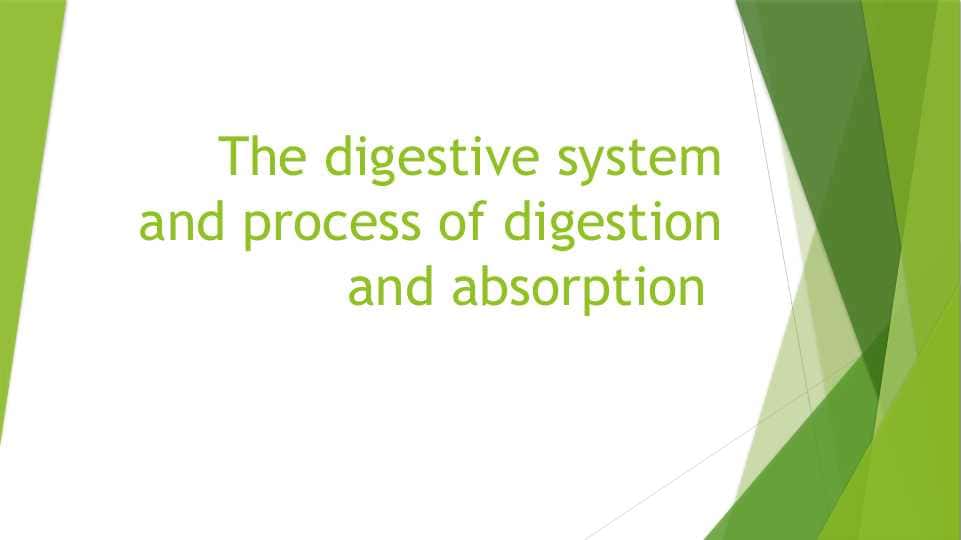 The digestive system and process of digestion and absorption