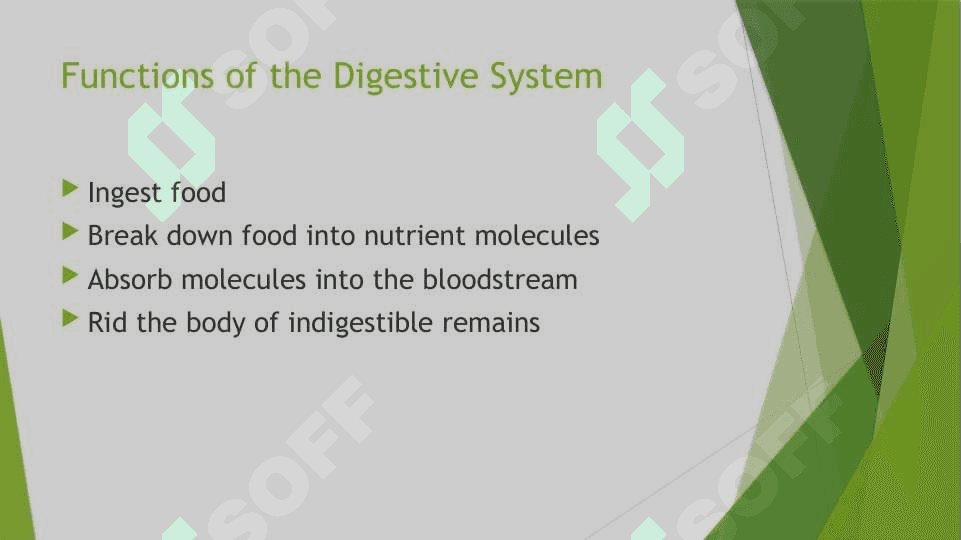The digestive system and process of digestion and absorption 4