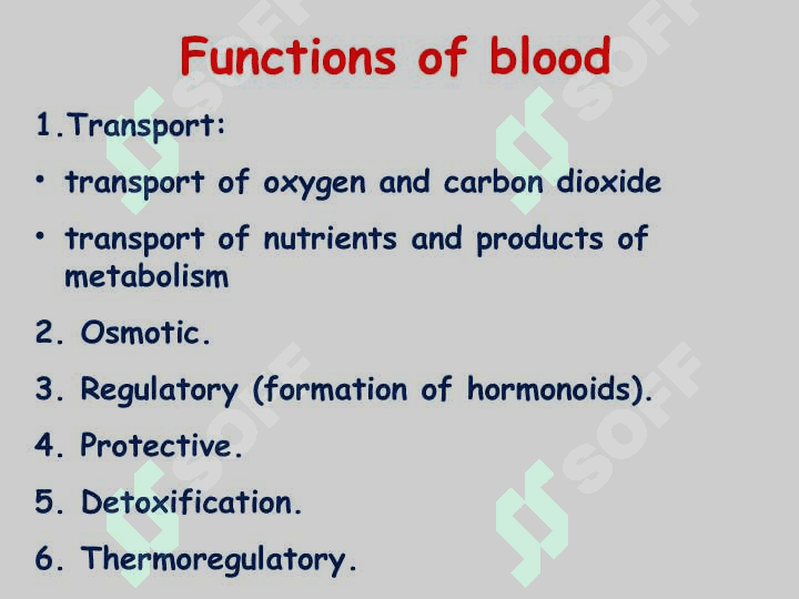 BLOOD 2